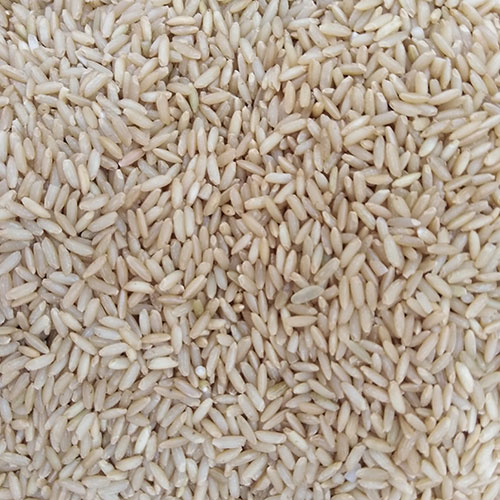 Brown Rice